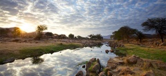 Ruaha River Lodge - River view