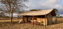 Legendary Serengeti Mobile Camp - Main area