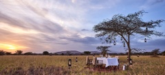 Legendary Serengeti Mobile Camp - Dinner in the bush