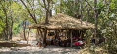 Chikoko Tree Camp