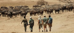 Chikoko Tree Camp - Walking Safari