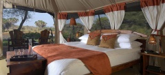 Elephant Bedroom Camp