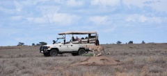 Kusini Camp - game drive