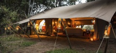 Mara Expeditions - Main area