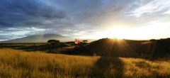 Masai Mara Landscape