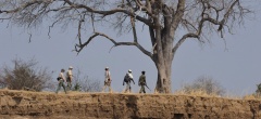 Tafika Camp - Walking safari