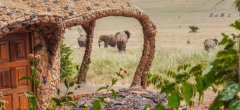 Lewa house - elephants